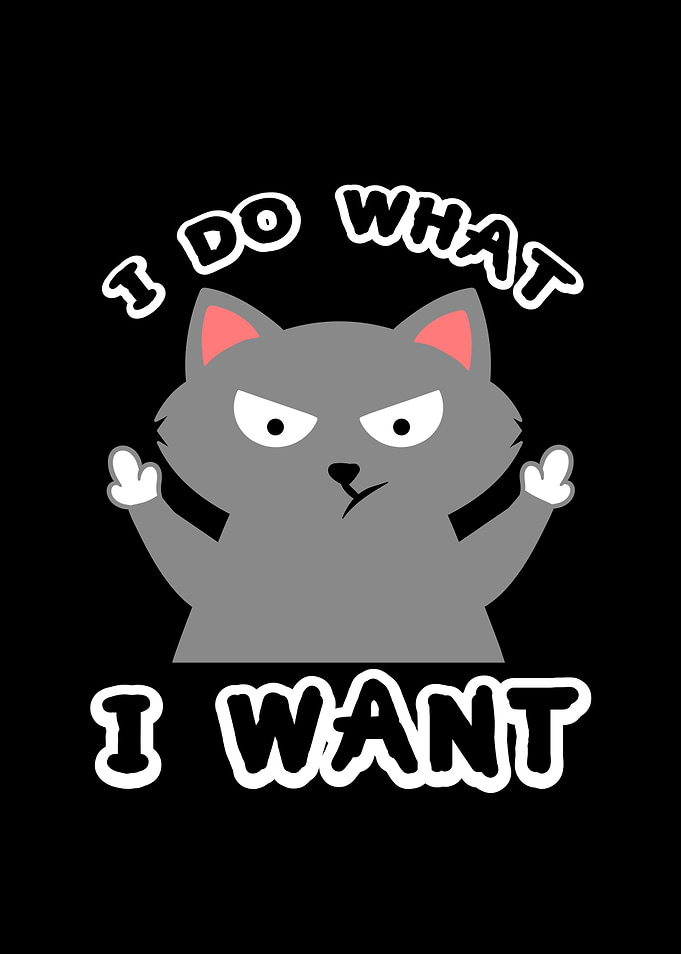 Sarcastic I Do What I Want