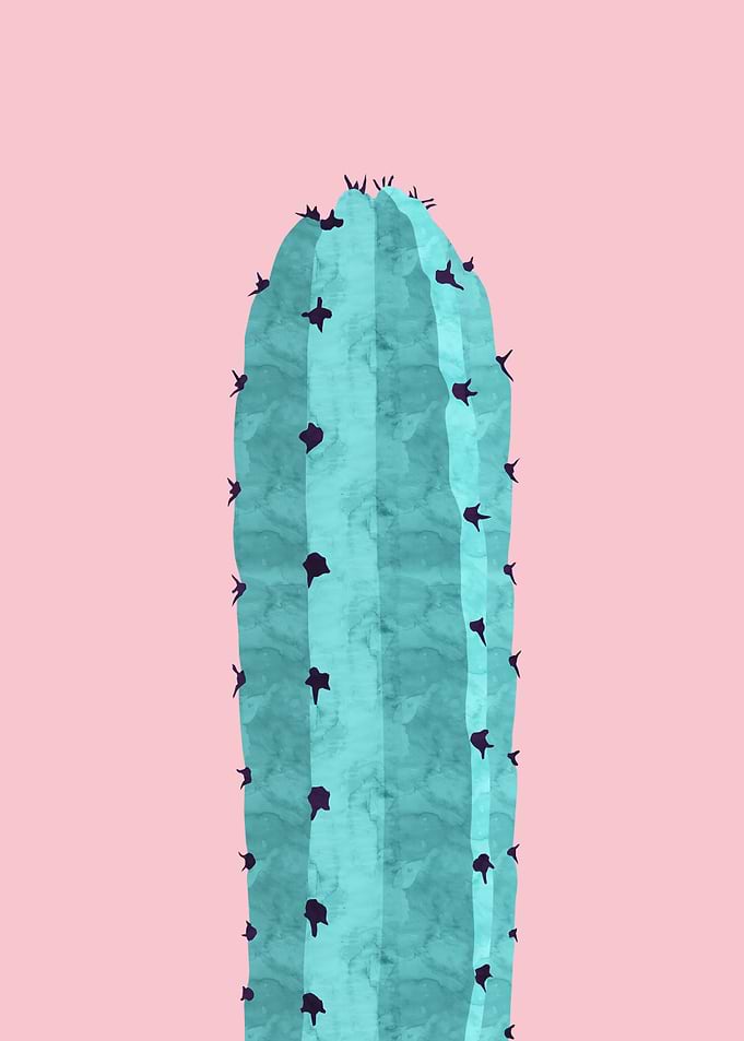 Plant IV