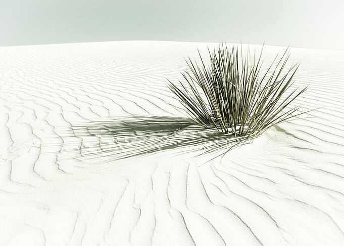 Vintage White Sands