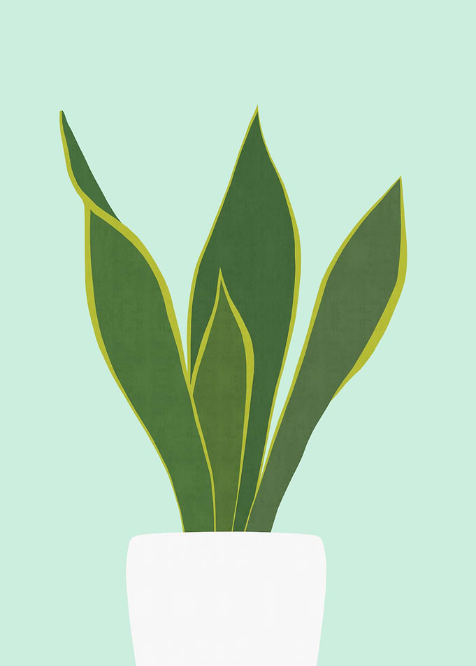Plant V