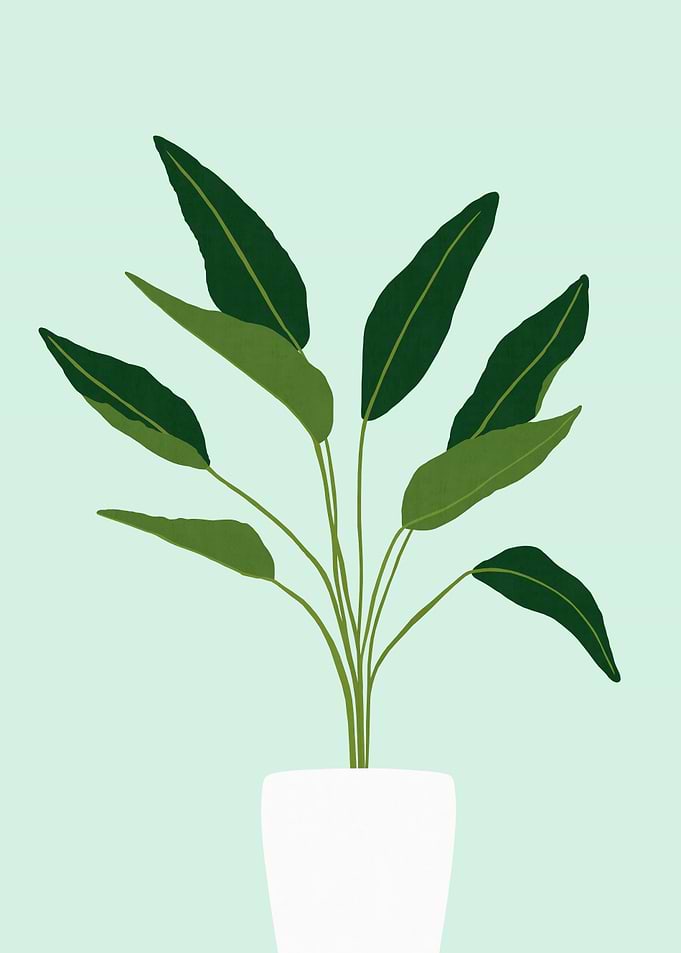 Plant III