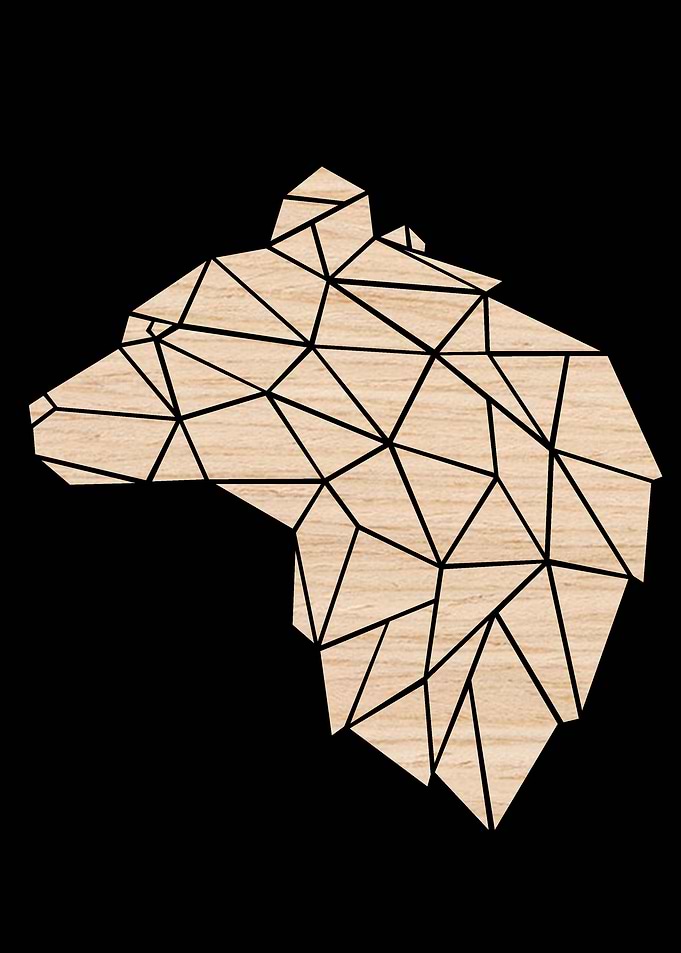 Oak Bear