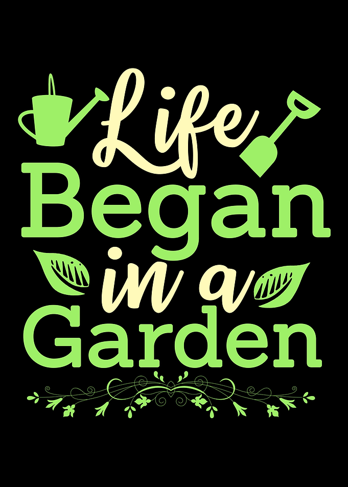 Life Began In Garden