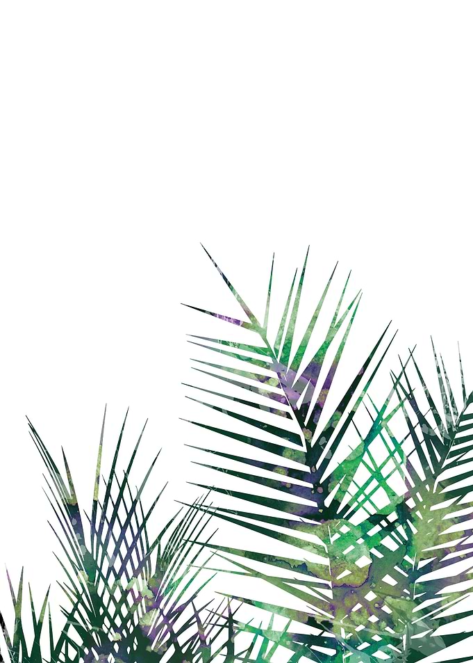 Palm leaves
