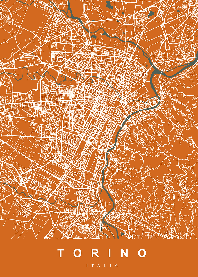 TORINO City Map Italy