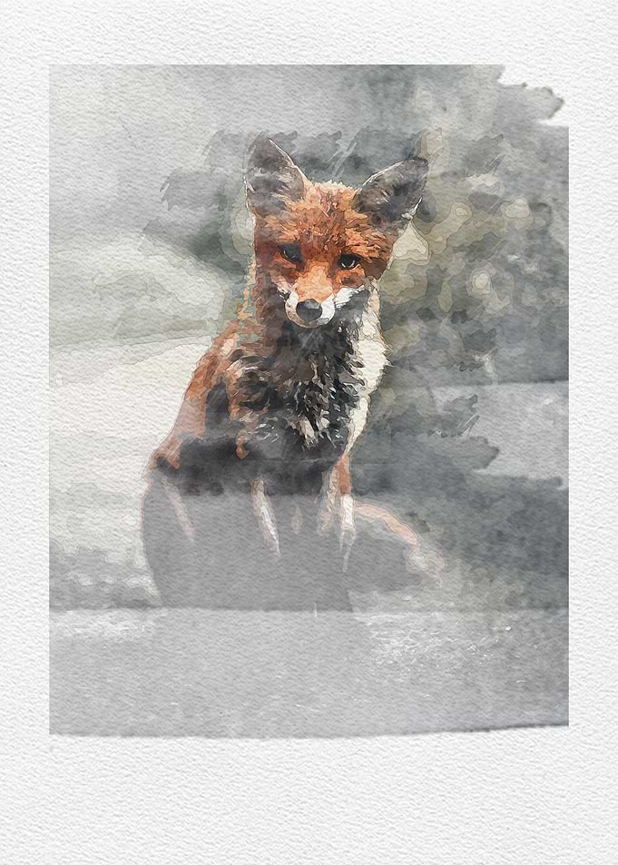 fox is cream fly to sky
