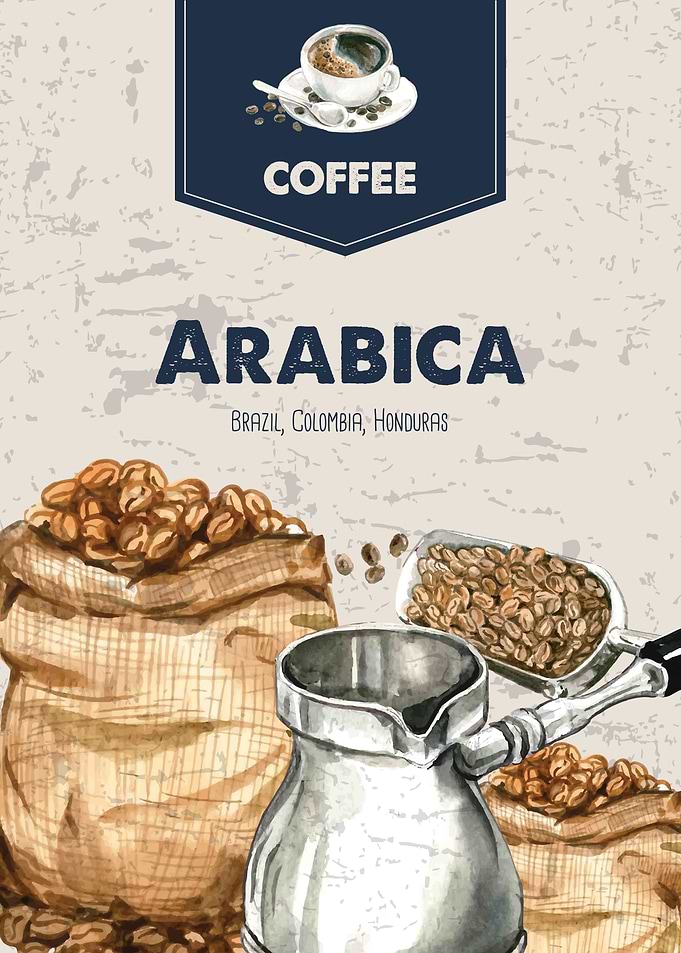 Coffee Arabica