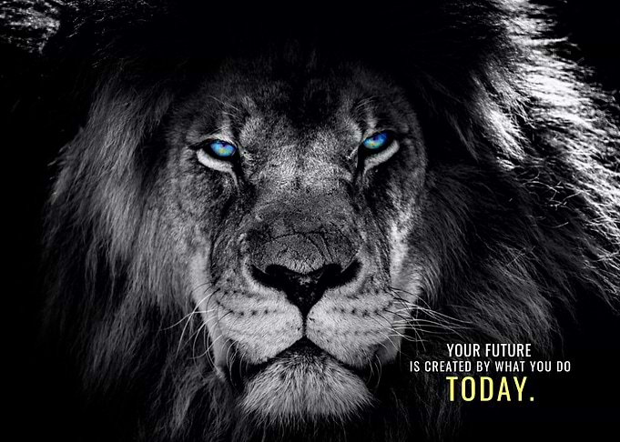 Create your Future Today