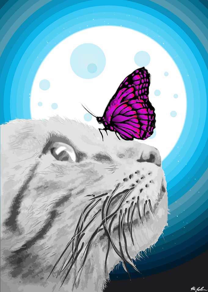 Cat meets Butterfly