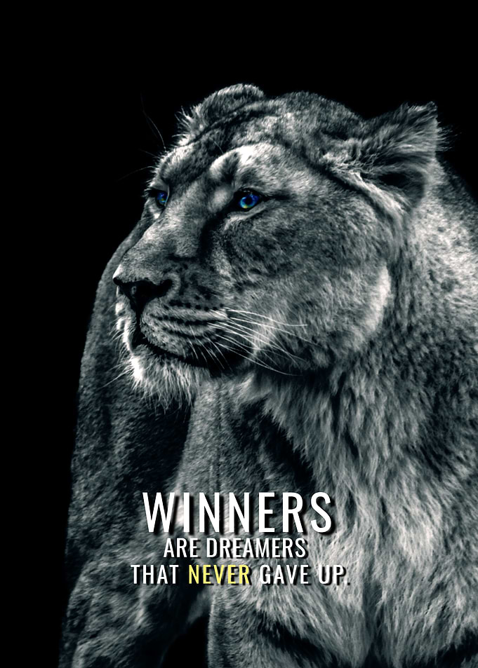 Winners Never Gave Up