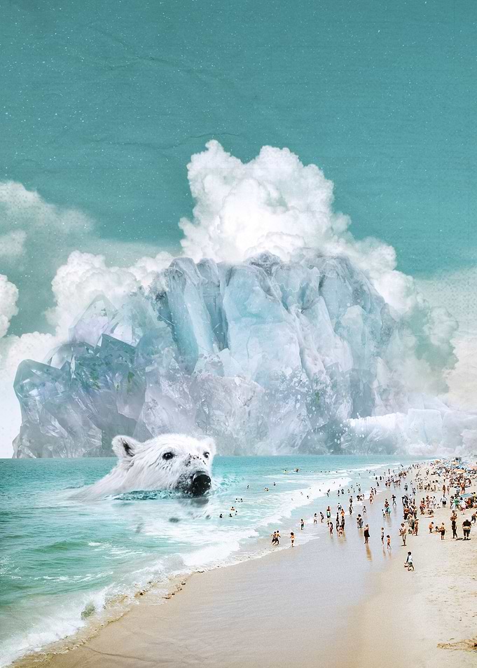 Polar Bear