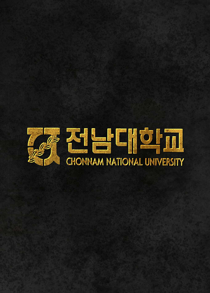 Chonnam University Korea