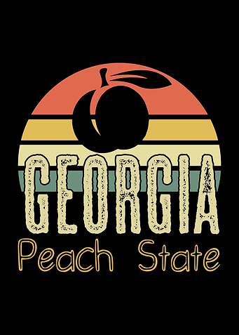 Georgia State USA America
