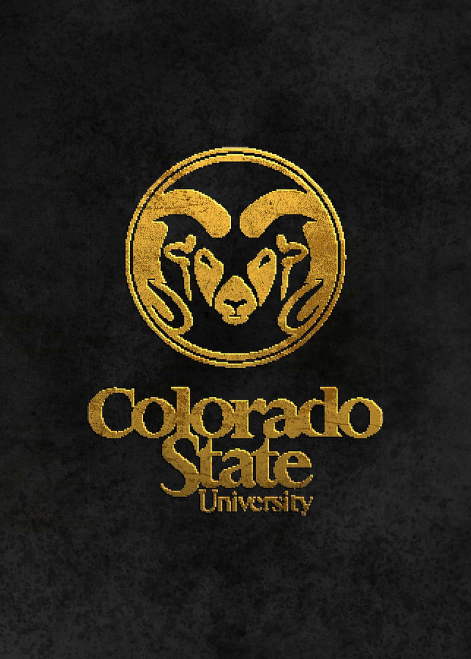 Colorado State University