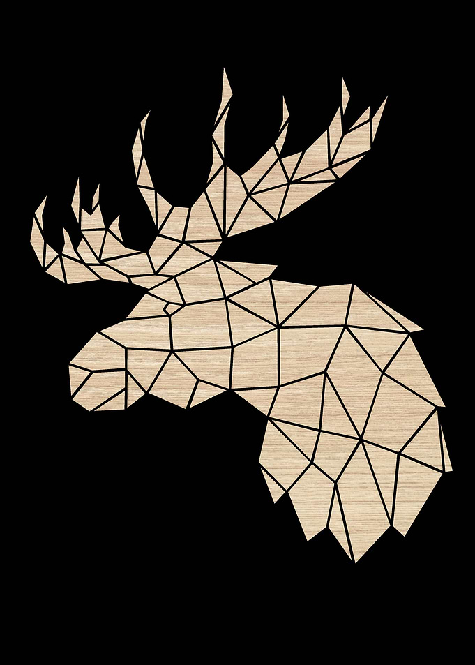 Elk Birch
