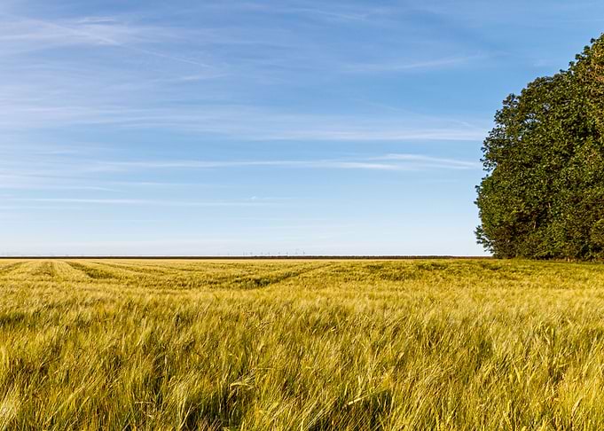 Farmland