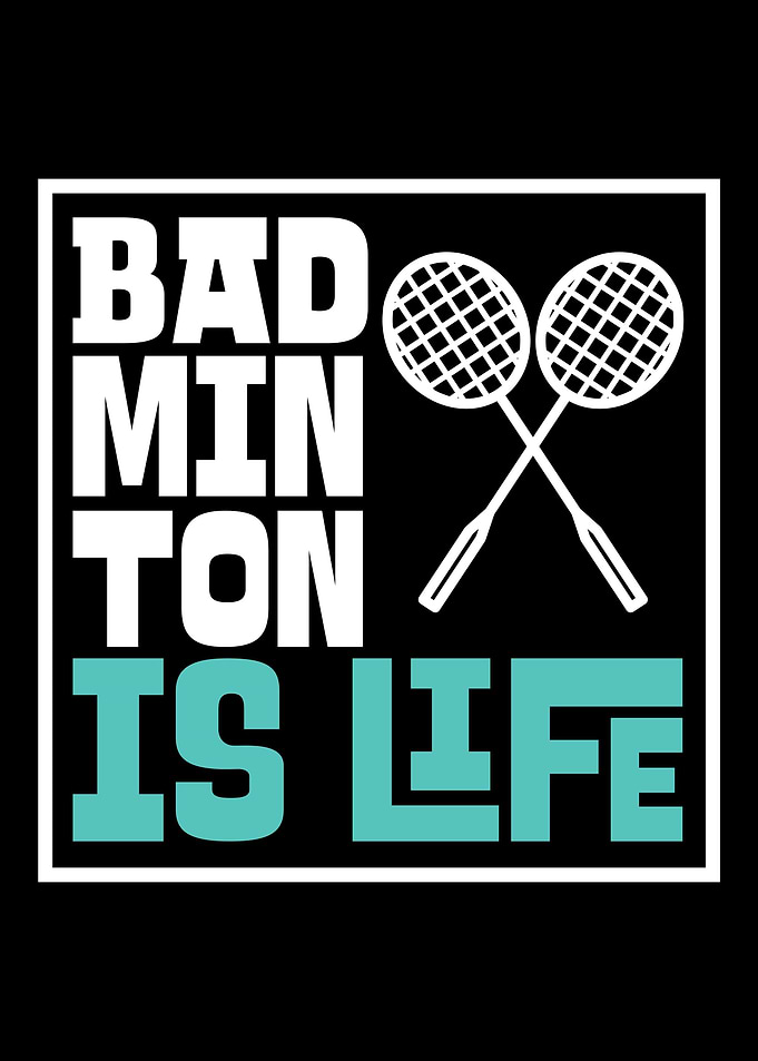 Two Badminton Sticks