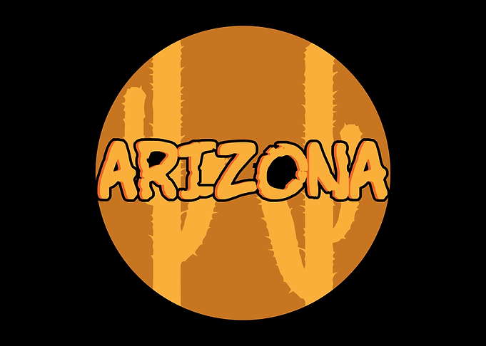 Arizona State USA America
