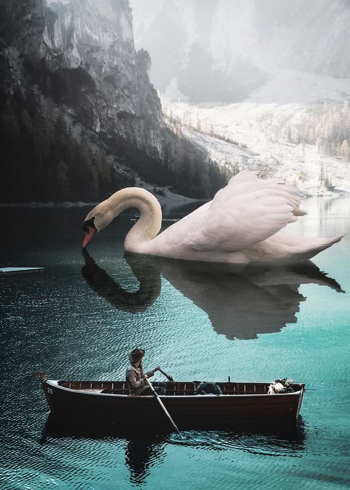 Giant Swan on Lake