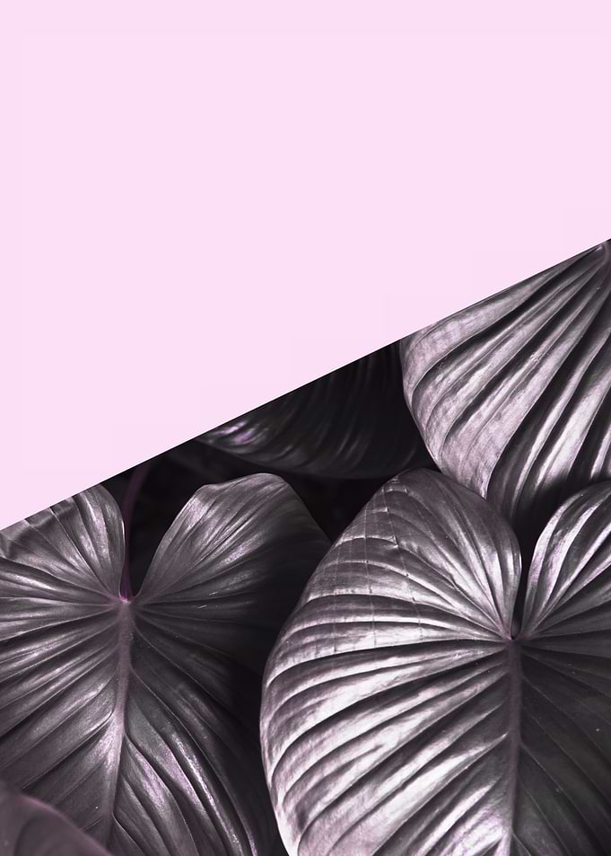 Minimalist botanical V