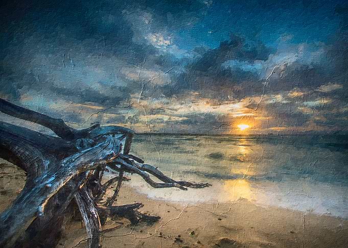 Driftwood