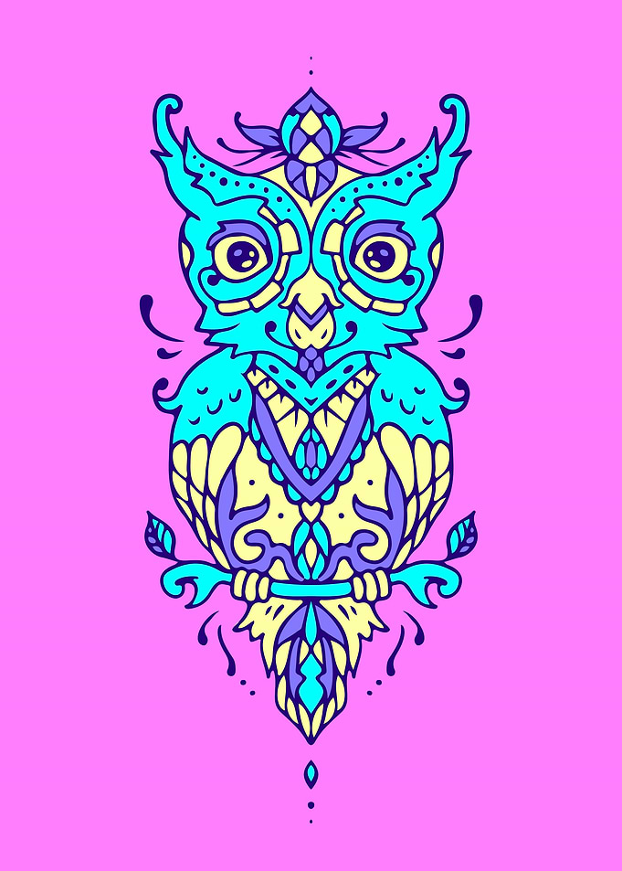 Owl bird art
