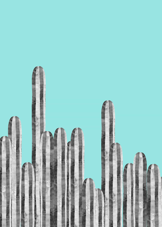 Plant XV