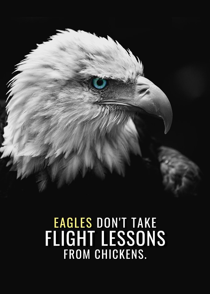 Flight Lessons