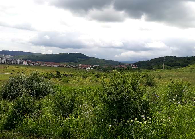 Field before the rain