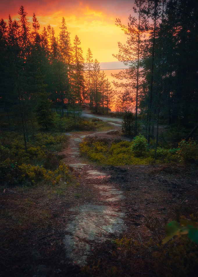 Path of the Freedom