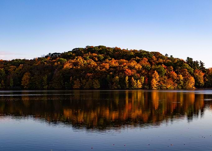 Fall forest at the lake