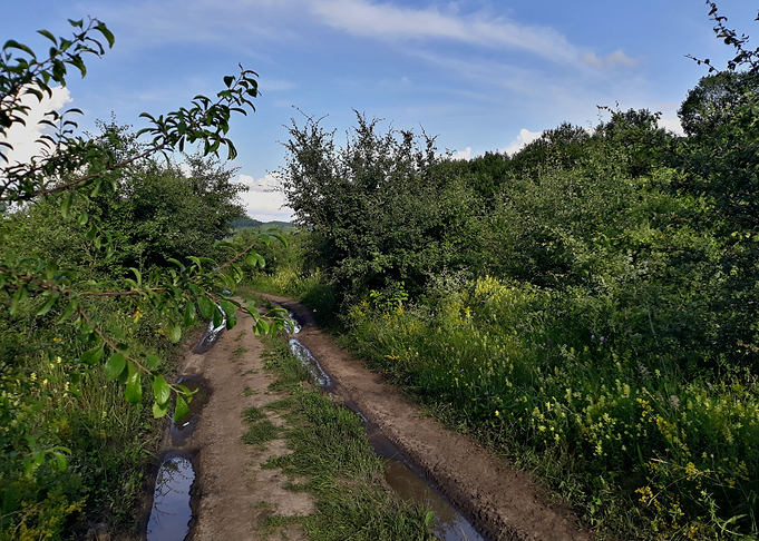 Trail after the rain