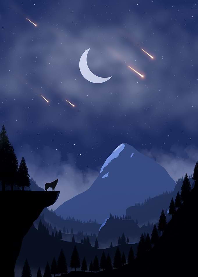 The wolf at night