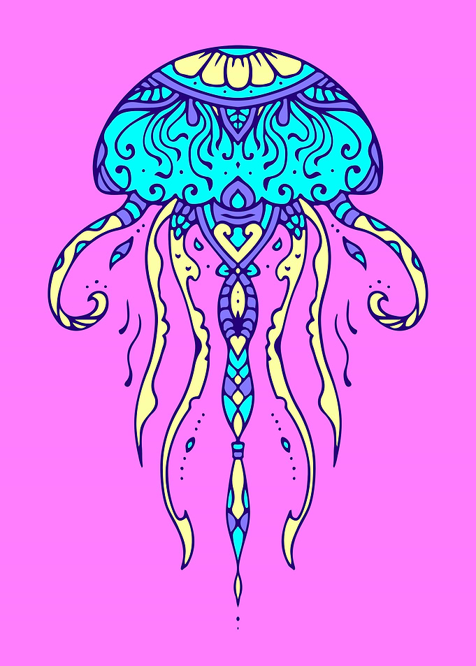 Jellyfish