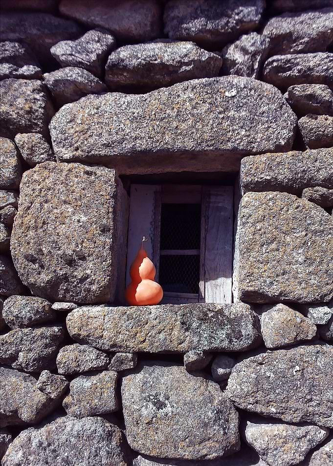 Old Window