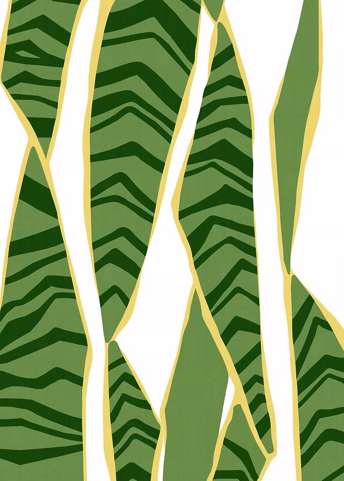 Plant XII