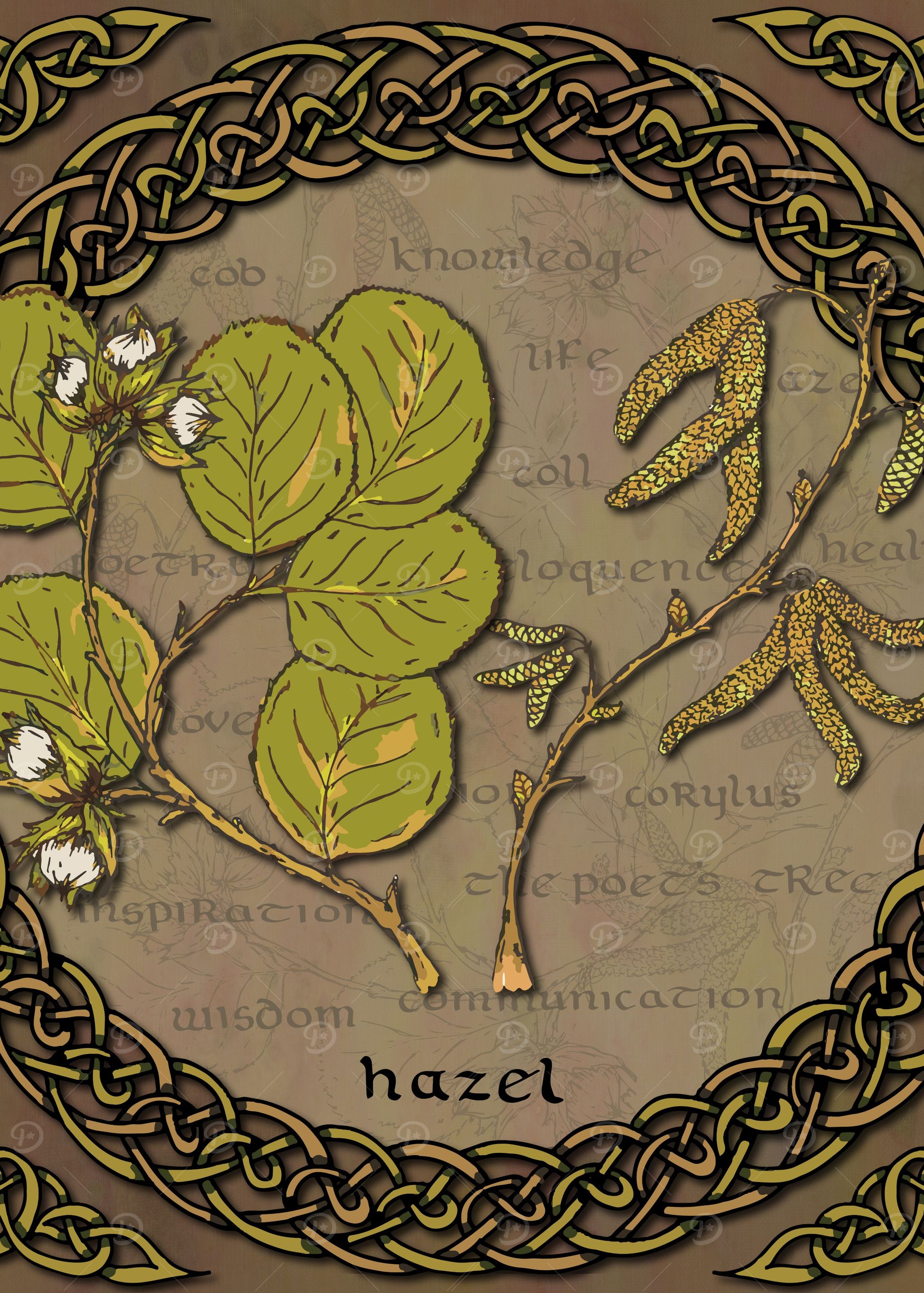 Celtic Hazel