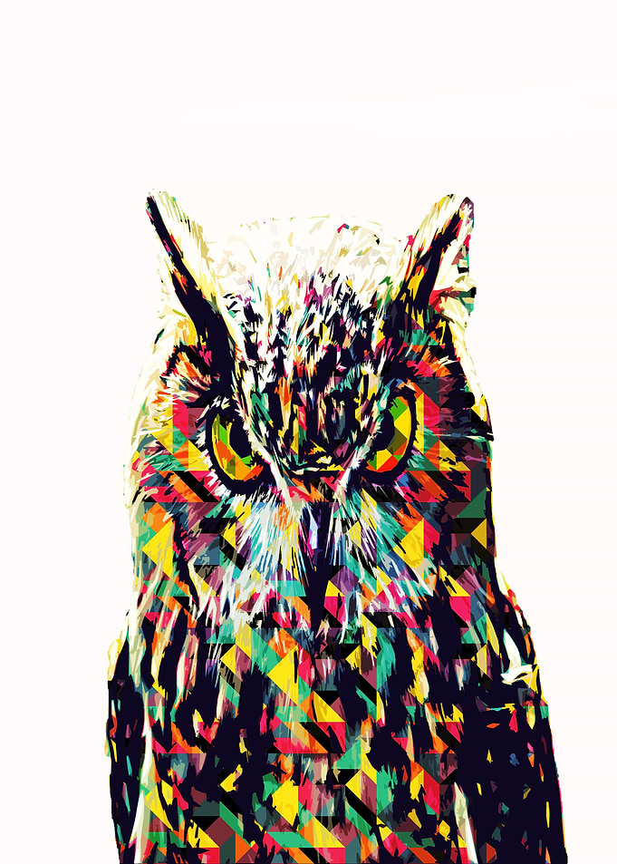 owl Poster