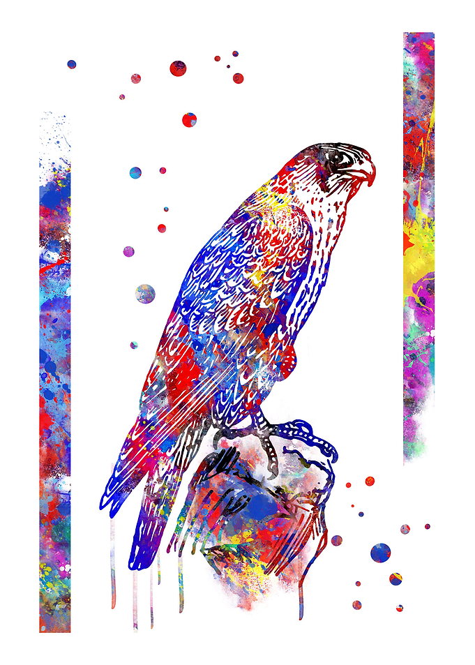 Falcon
