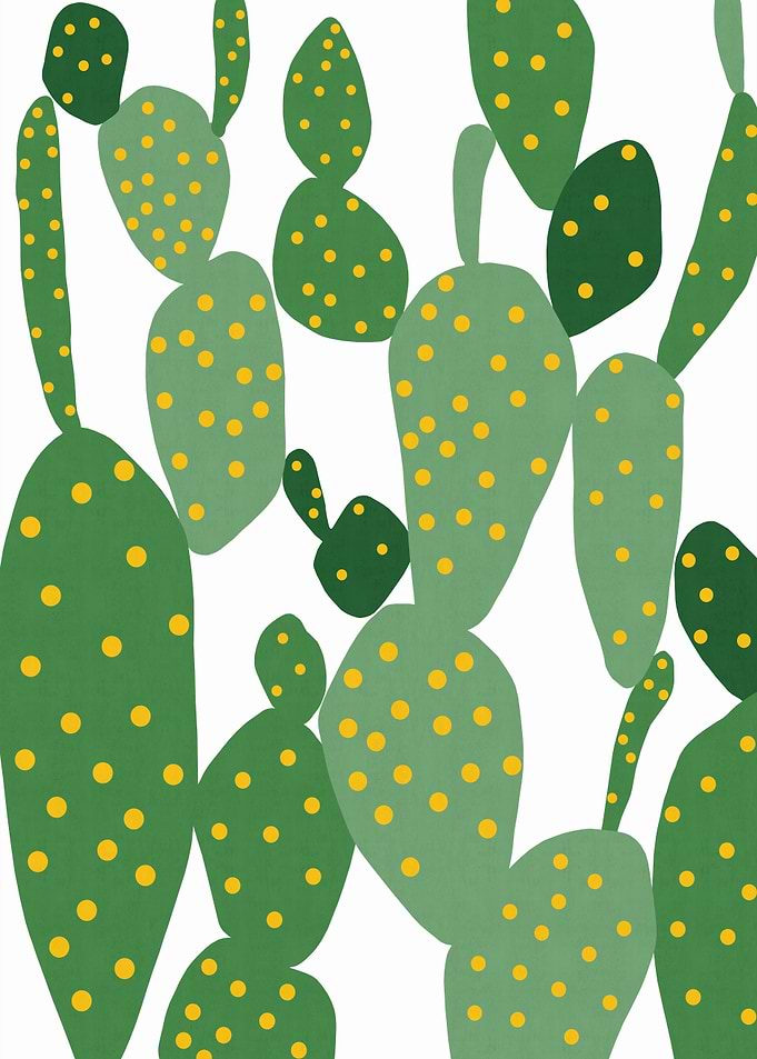 Plant XIII