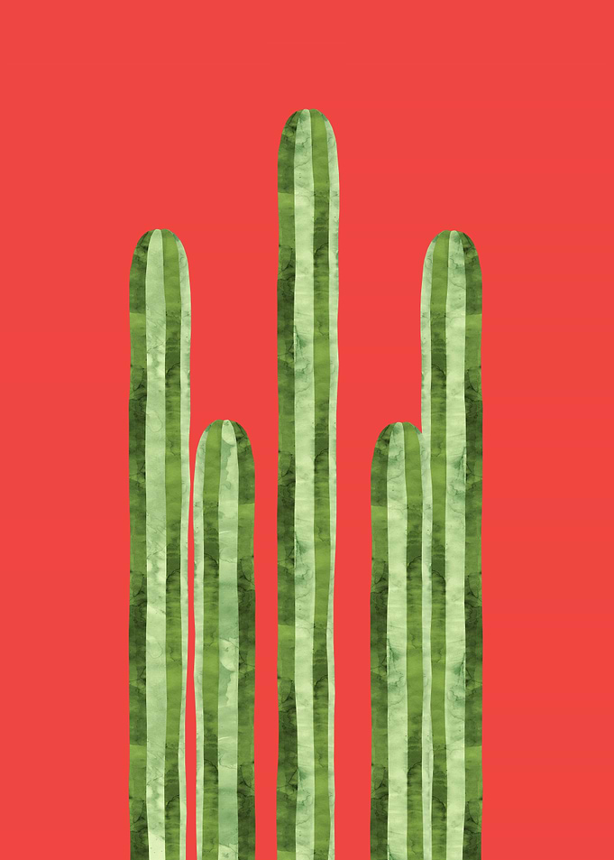 Plant XI