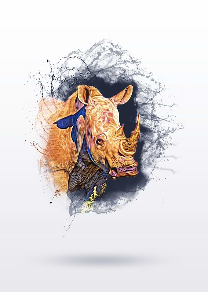 RHINO