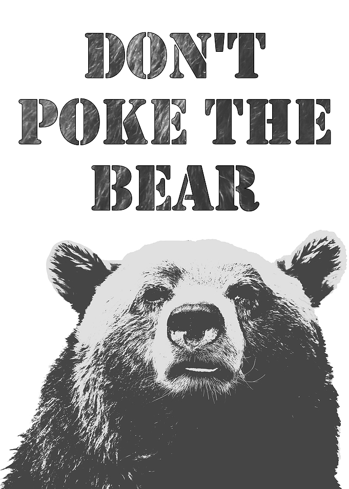 BEAR WARNING SIGN