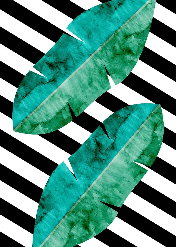 Tropical floral VI