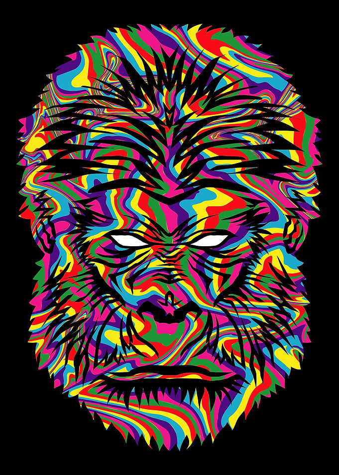 Psychedelic Monkey