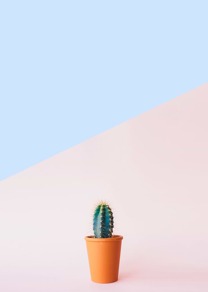 Minimalist botanical XIV