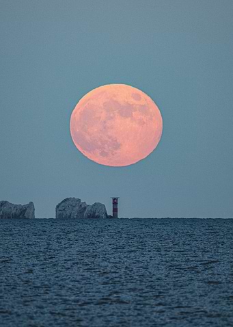 Needle Moon