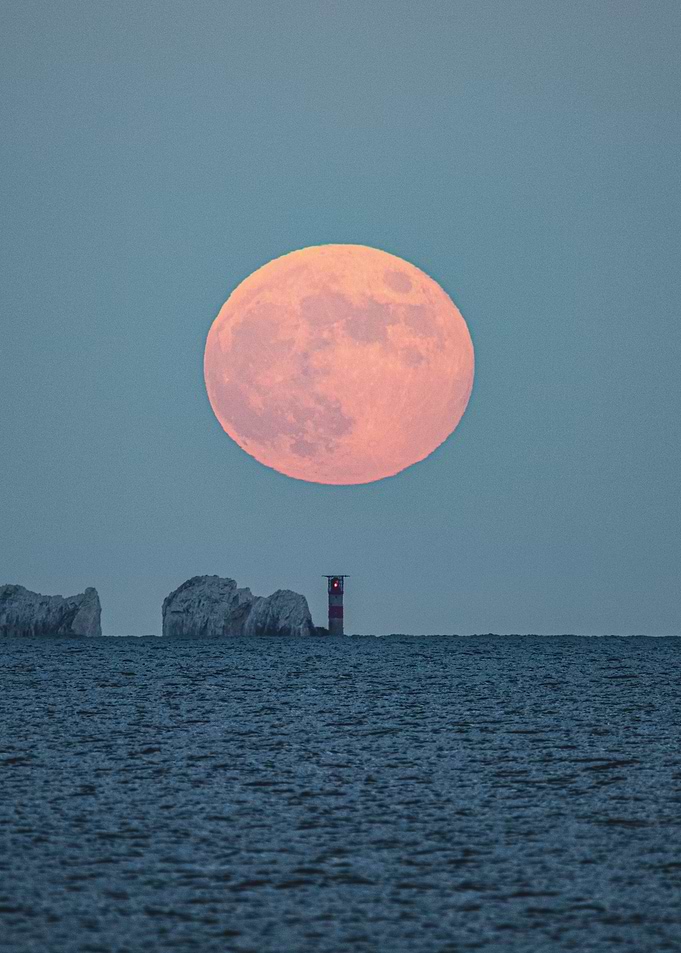 Needle Moon