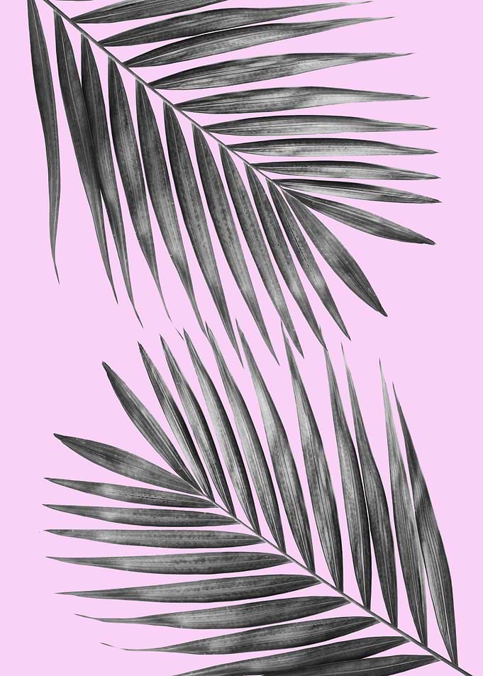 Tropical floral VII