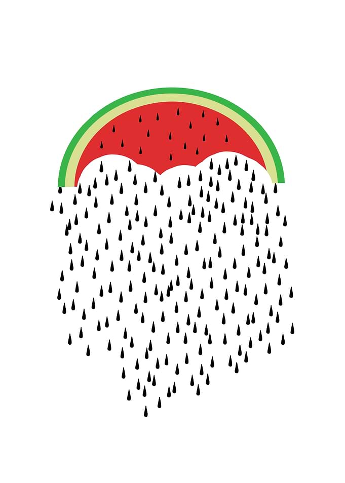 Sweet Seed Rain